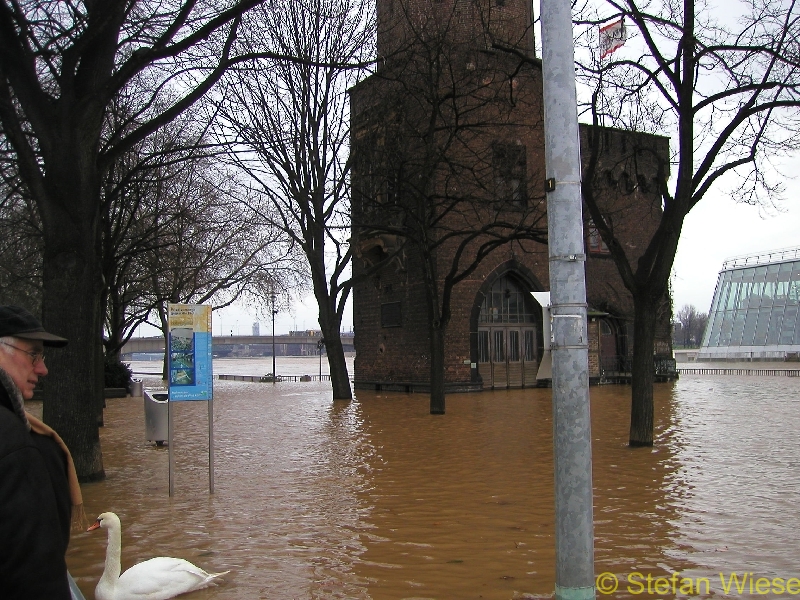 Koeln: Hochwasser Jan 2003 (Schokoladenmuseum rechts und Schwan)