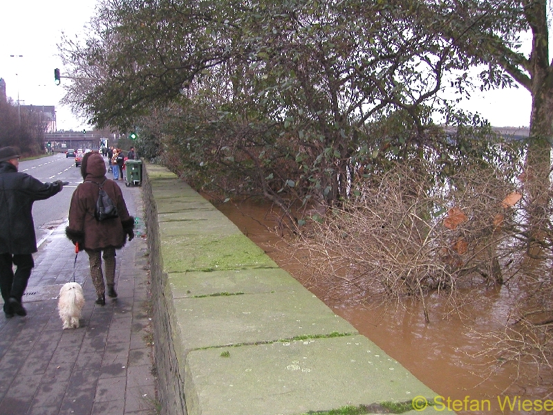 Koeln: Hochwasser Jan 2003 (Rhein Strasse)