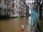 Koeln: Hochwasser Jan 2003 (in der Naehe des Schokoladenmuseum)